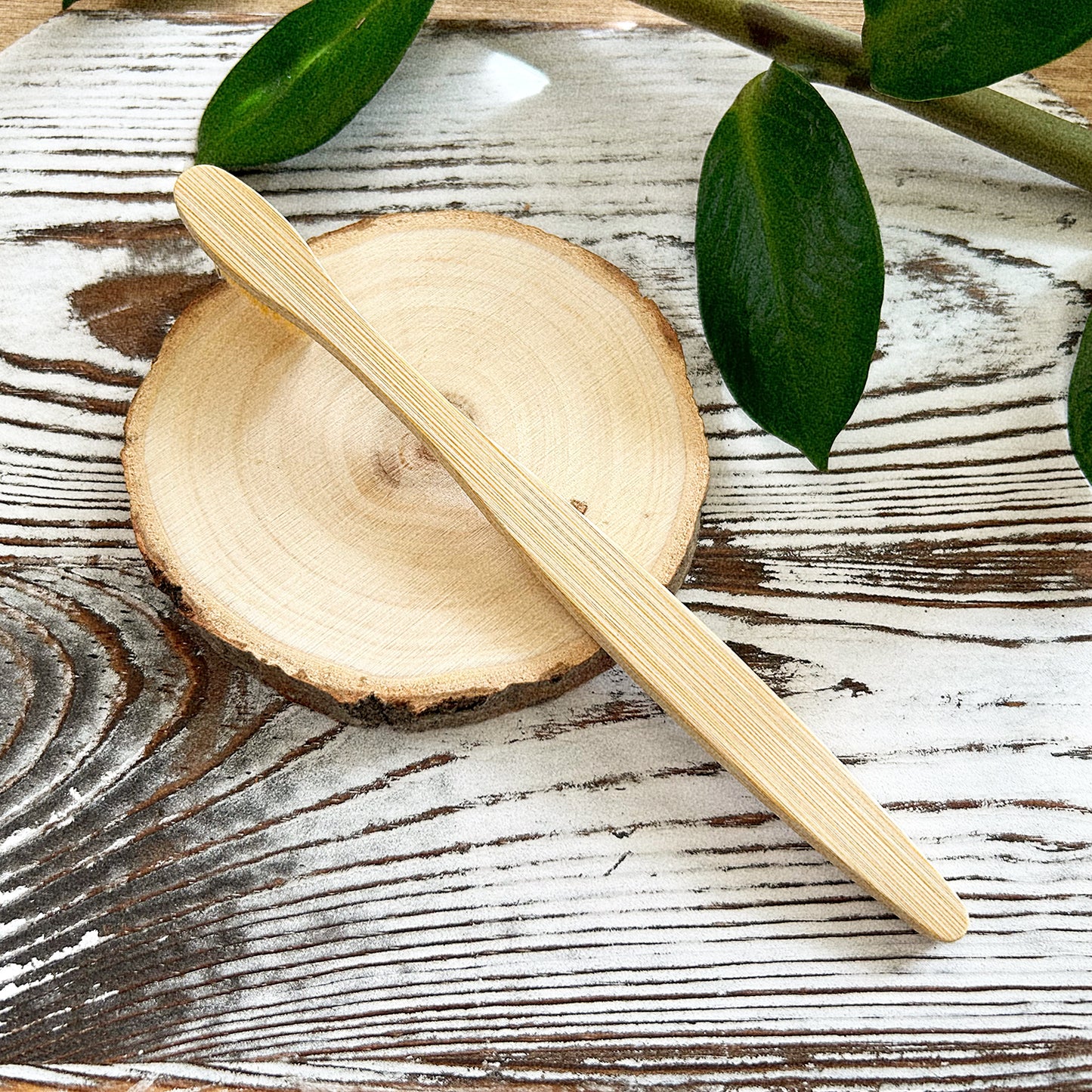 BAMBOO TOOTHBRUSH 2 PACK image 1